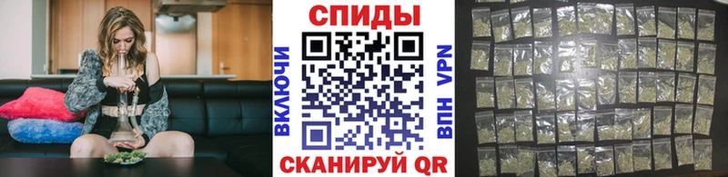 Купить закладки  Бакал  БУТИРАТ буратино 