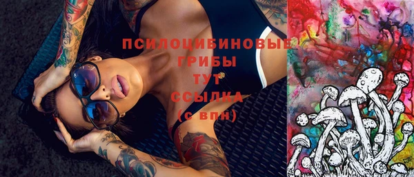 стафф Козловка