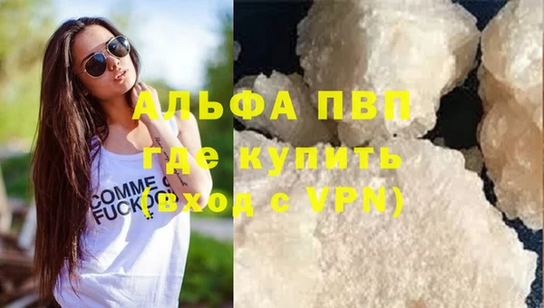 стафф Козловка
