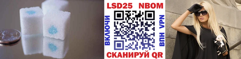 Купить  Бакал  Лсд 25 экстази кислота 