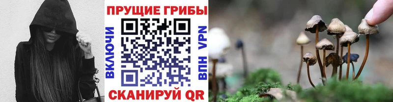 Псилоцибиновые грибы Magic Shrooms  Купить  Бакал 